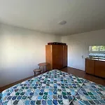 Apartma Spacious - & Peaceful *