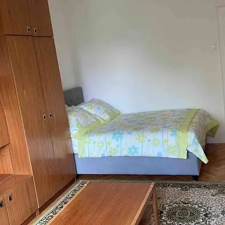 Apartament Spacious - & Peaceful Lublana